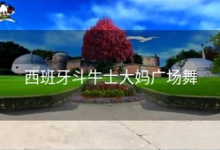 西班牙斗牛士大妈广场舞