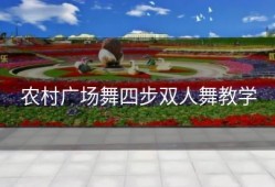 农村广场舞四步双人舞教学