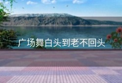 广场舞白头到老不回头