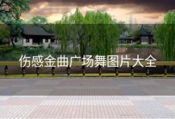伤感金曲广场舞图片大全