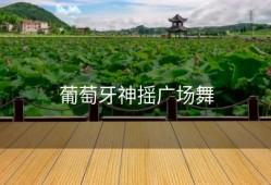 葡萄牙神摇广场舞