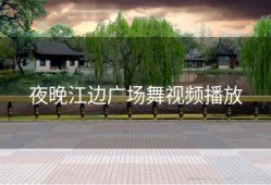 夜晚江边广场舞视频播放