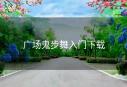 广场鬼步舞入门下载