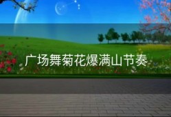 广场舞菊花爆满山节奏