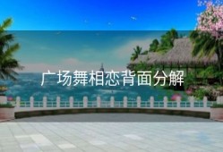 广场舞相恋背面分解