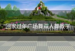 回家过年广场舞双人舞教学