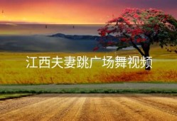 江西夫妻跳广场舞视频