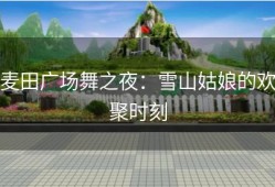 麦田广场舞之夜：雪山姑娘的欢聚时刻