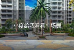 小度给我看看广场舞