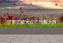 甘肃武威大众广场舞大赛