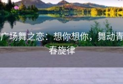 广场舞之恋：想你想你，舞动青春旋律