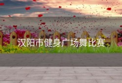 汉阳市健身广场舞比赛