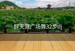 醉天涯广场舞32步dj