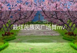 最炫民族风广场舞mv