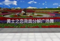 黄土之恋背面分解广场舞