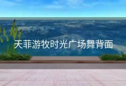 天菲游牧时光广场舞背面