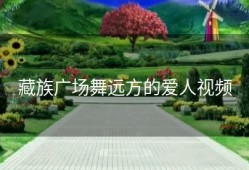 藏族广场舞远方的爱人视频