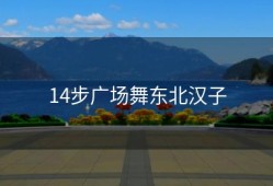 14步广场舞东北汉子