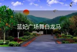 蓝妃广场舞白龙马