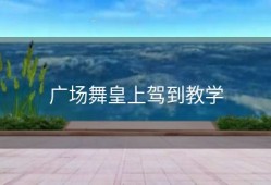 广场舞皇上驾到教学