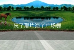 忘了那片海丫广场舞