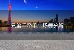 兄弟手牵手广场舞分解