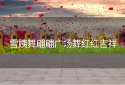 雪姨舞翩翩广场舞红红吉祥