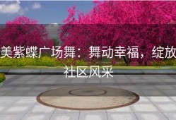 美紫蝶广场舞：舞动幸福，绽放社区风采