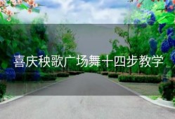 喜庆秧歌广场舞十四步教学