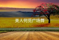 美人何觅广场舞