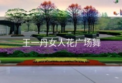 王一丹女人花广场舞