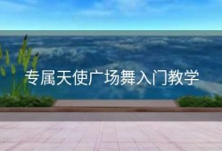 专属天使广场舞入门教学