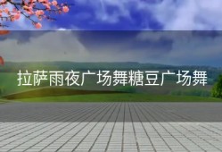 拉萨雨夜广场舞糖豆广场舞
