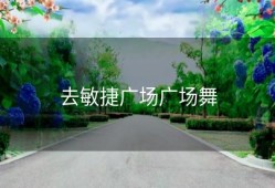 去敏捷广场广场舞