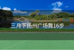 三月下扬州广场舞16步