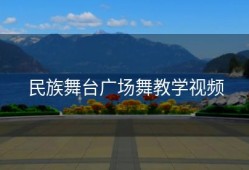 民族舞台广场舞教学视频