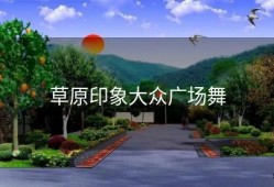 草原印象大众广场舞