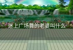 迷上广场舞的老婆叫什么