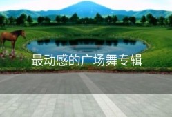 最动感的广场舞专辑