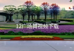 12广场舞视频下载