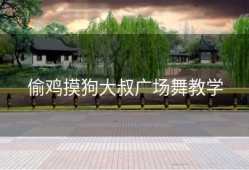 偷鸡摸狗大叔广场舞教学