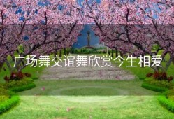 广场舞交谊舞欣赏今生相爱