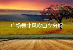 广场舞北风吹口令分解