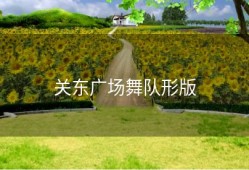 关东广场舞队形版