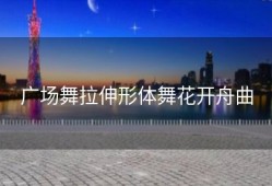 广场舞拉伸形体舞花开舟曲