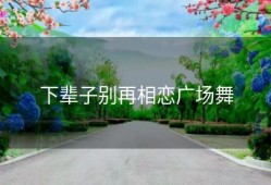 下辈子别再相恋广场舞