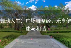 舞动人生：广场舞圣经，乐享健康与和谐