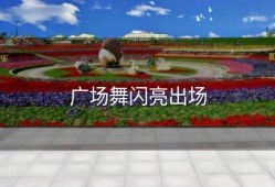 广场舞闪亮出场
