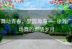舞动青春，梦圆瀚海——徐瀚广场舞的燃情岁月