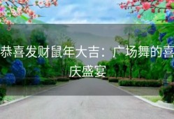 恭喜发财鼠年大吉：广场舞的喜庆盛宴
